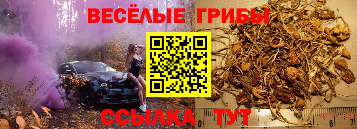Галлюциногенные грибы MAGIC MUSHROOMS  Вход с VPN  Новокубанск 