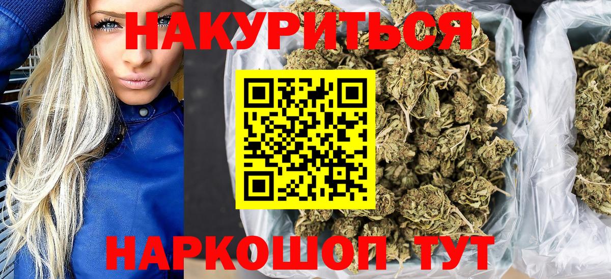 Конопля сатива Новокубанск
